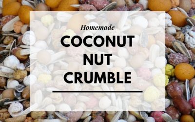 Homemade Coconut Nut Crumble