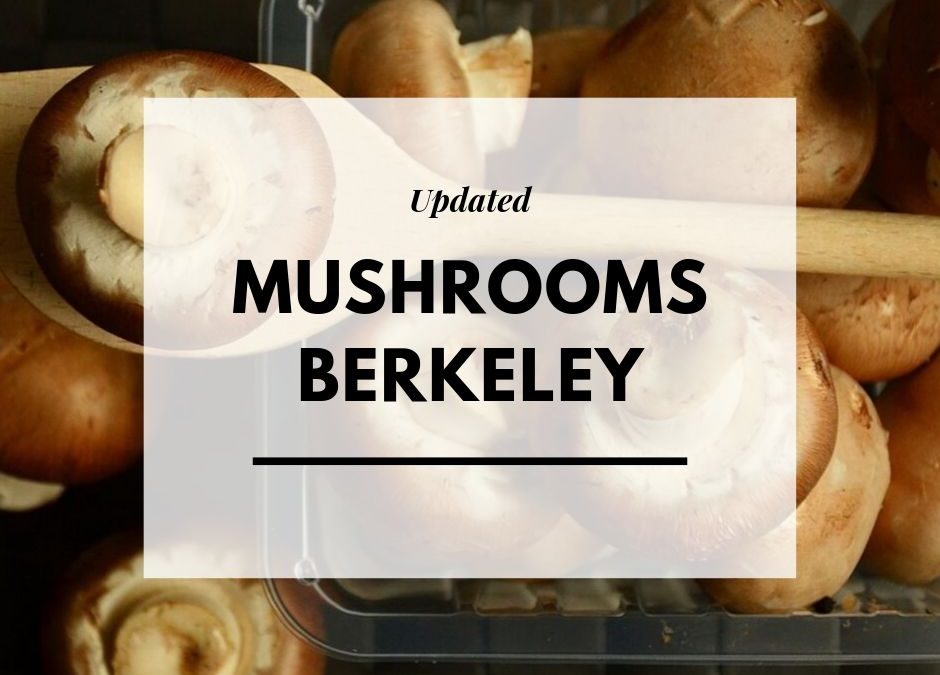 Updated Mushrooms Berkeley 