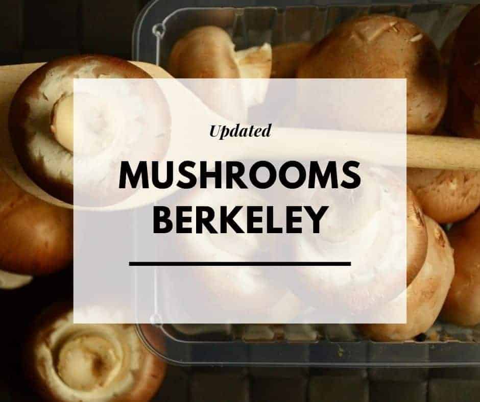 Mushrooms Berkeley