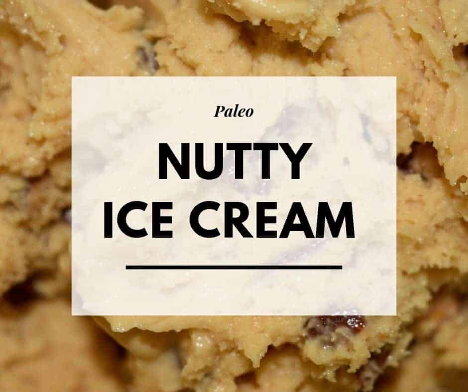 Paleo Nut Ice Cream